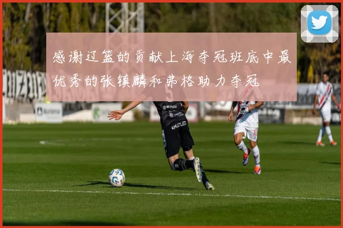 感谢辽篮的贡献上海夺冠班底中最优秀的张镇麟和弗格助力夺冠